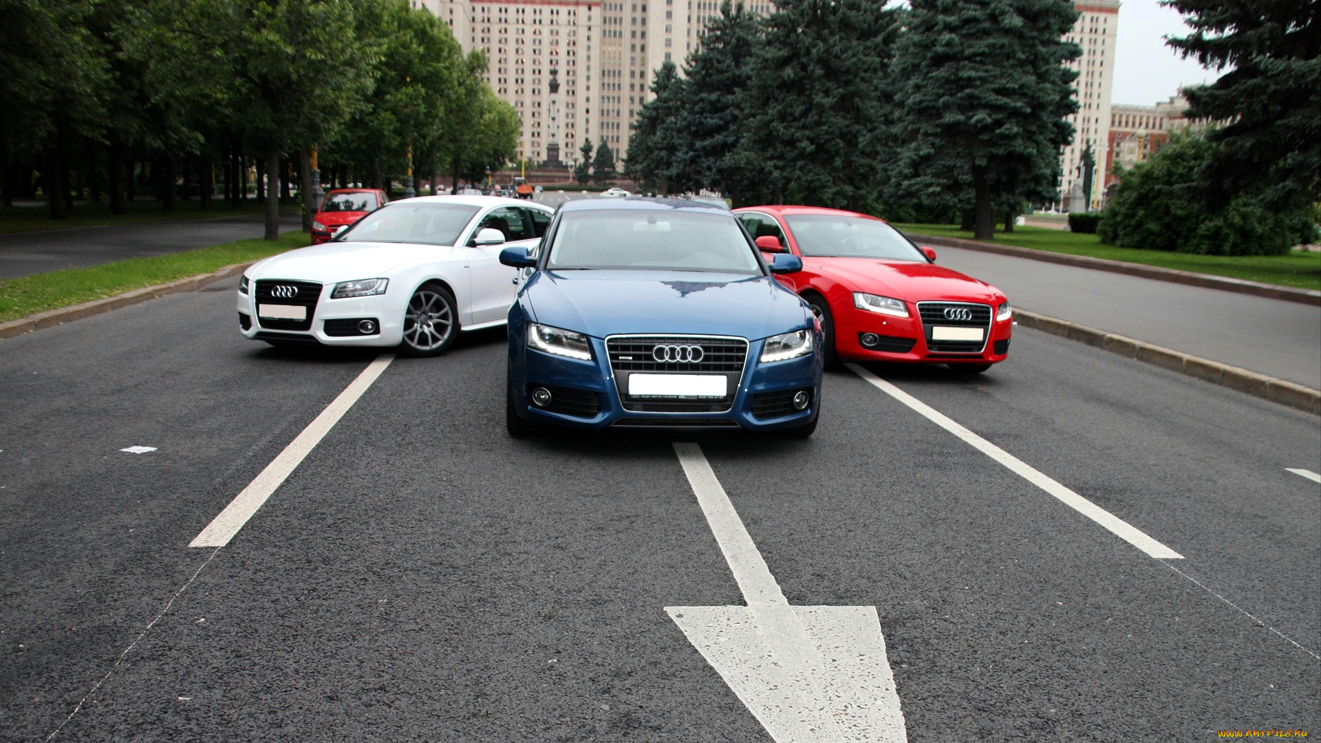 audi, a5, , volkswagen, group, 